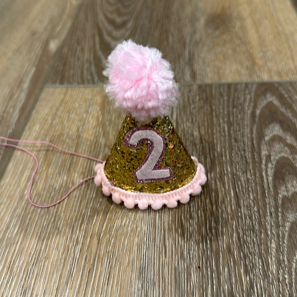 2nd birthday hat- pet